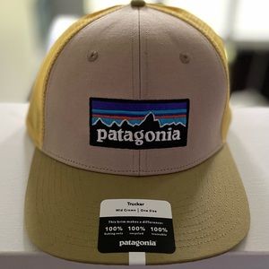 Patagonia trucker hat